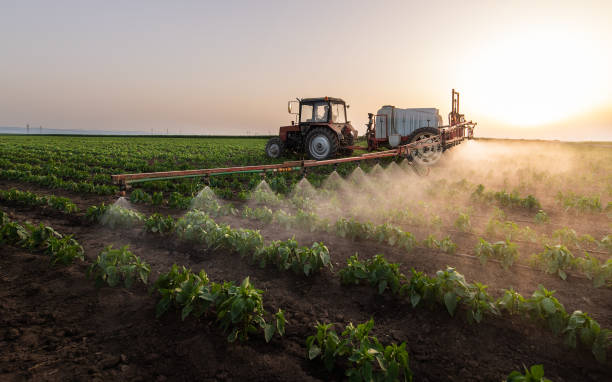 Best Pest Control Near Me  in Tipton, IA