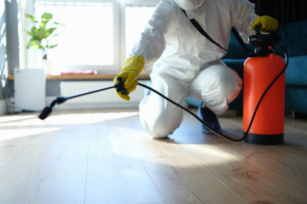 Best Pest Prevention Services  in Tipton, IA