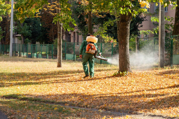 Best Insect Control  in Tipton, IA